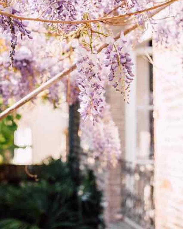 Bed and Breakfast Castel Jolly Rennes Exterior foto
